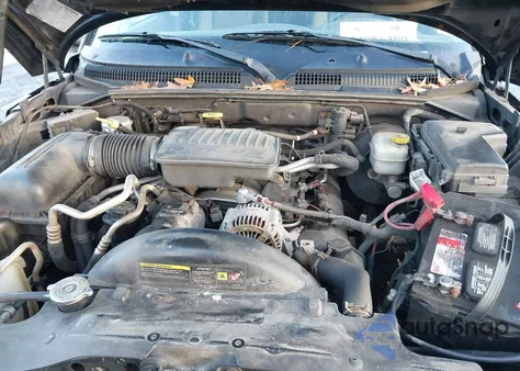 2006 Dodge Dakota Slt z USA, uszkodzony, nr VIN 1D7HW48J56S563053